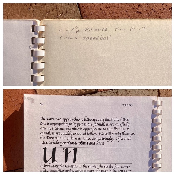 2 Learning Calligraphy Decorated Page Borders Margaret Shepherd Printmaking - Picture 15 of 16